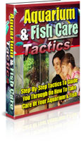 Thumbnail Aquarium & Fish Care Tactics - Learn How To Take Care Of Aquarium & Fish
