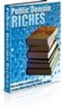Thumbnail Public Domain Riches - Make a Fortune from Existing Public D