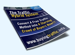 Thumbnail The Traffic Hybrid System