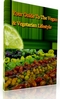 Thumbnail Your Guide To The Vegan & Vegetarian Lifestyle