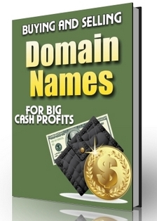 Product picture Buying And Selling Domain Names For Big Cash Profits - The C