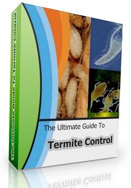 Product picture The Ultimate Guide To Termite Control