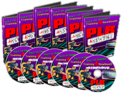 Product picture PLR For Newbies Videos
