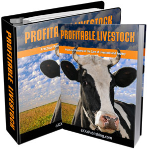 Product picture Profitable Livestock - Practical Pointers On The Care Of Liv
