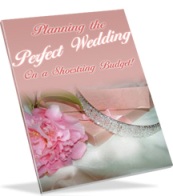 Product picture Planning the Perfect Wedding on a Shoestring Budget