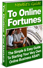 Product picture Newbie´s Guide To Online Fortunes