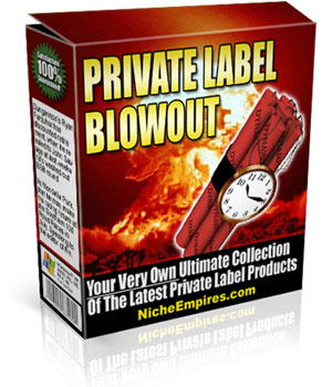 Product picture PLR Madness Offer - Private Label Rights eBook And Articles