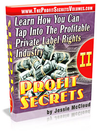 Product picture Profit Secrets Volume II: Learn How You Can Tap Into The Profitable Private Label Rights Industry