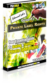 Product picture Guide to PLR | Cash In On The Private Label Rights Phenomenon!
